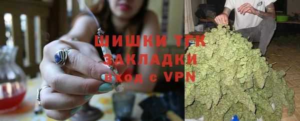 спиды Магас
