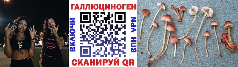 Галлюциногенные грибы Magic Shrooms  Купить  Агидель 
